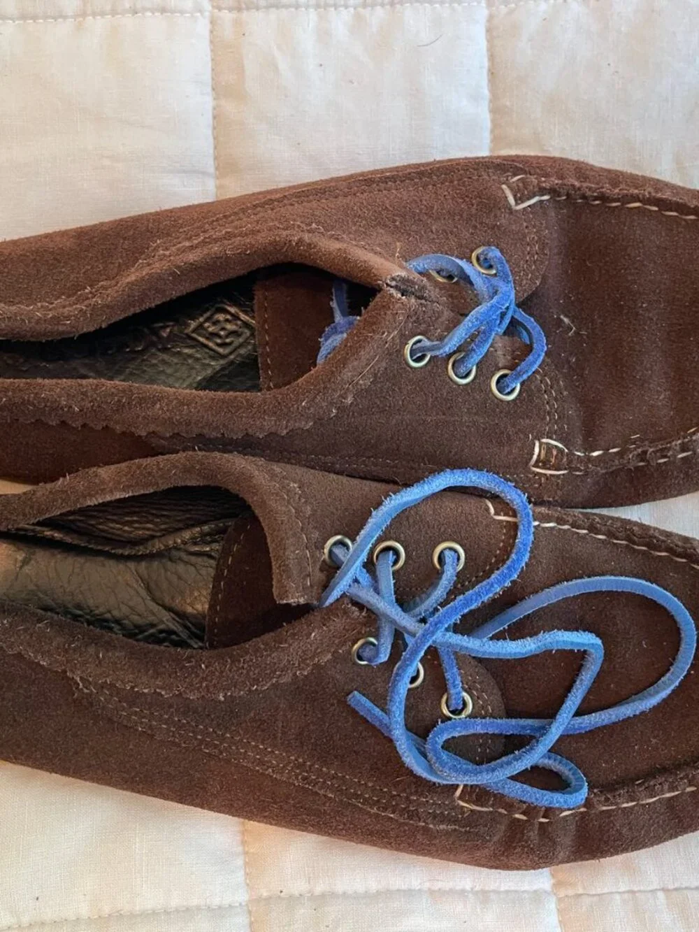 Quoddy Chocolate Suede Camp Moc Blucher, Blue Laces